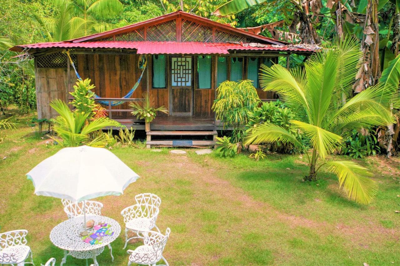 Ocean Forest Ecolodge San Pedrillo Buitenkant foto