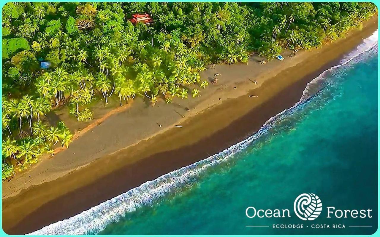 Ocean Forest Ecolodge San Pedrillo Buitenkant foto