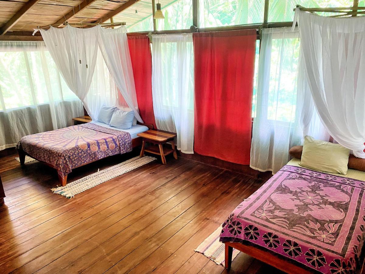 Ocean Forest Ecolodge San Pedrillo Buitenkant foto