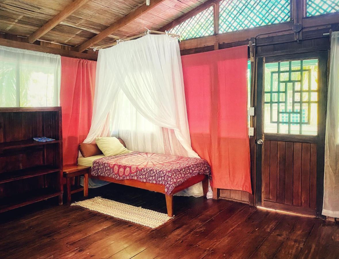 Ocean Forest Ecolodge San Pedrillo Buitenkant foto
