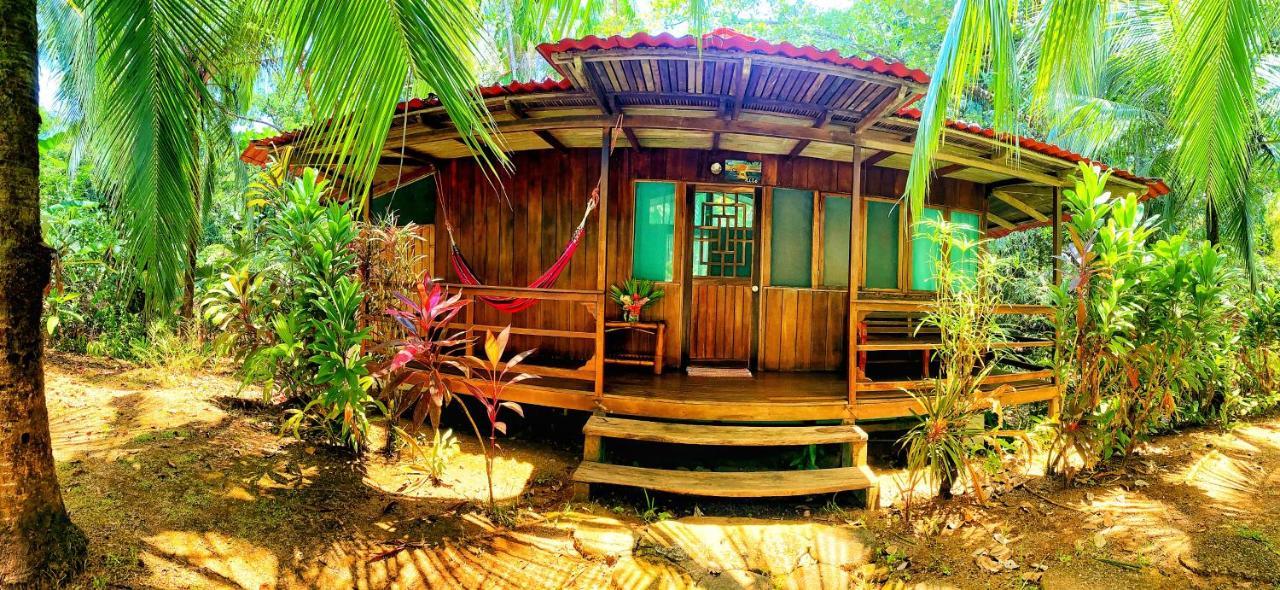 Ocean Forest Ecolodge San Pedrillo Buitenkant foto