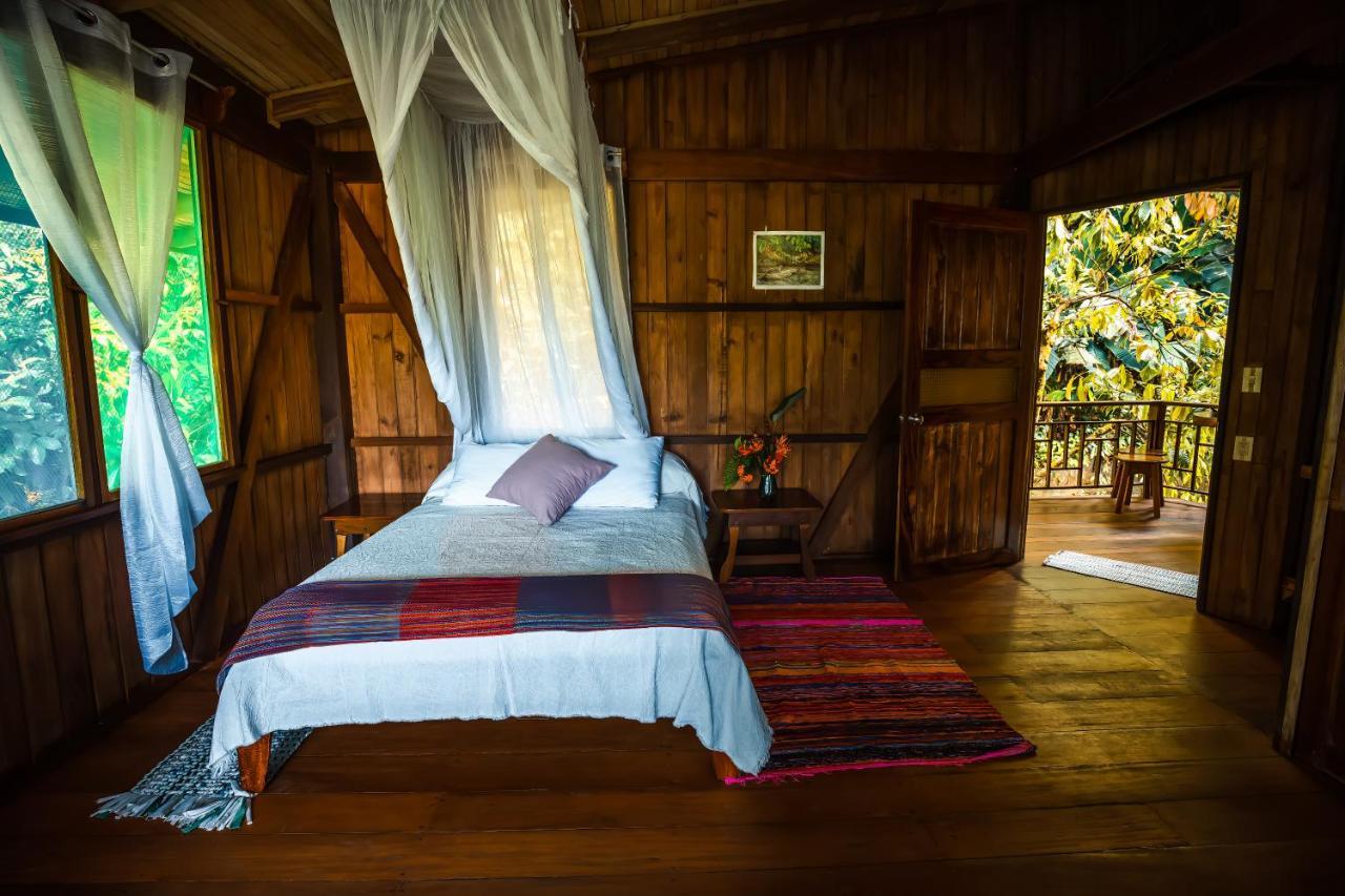 Ocean Forest Ecolodge San Pedrillo Buitenkant foto