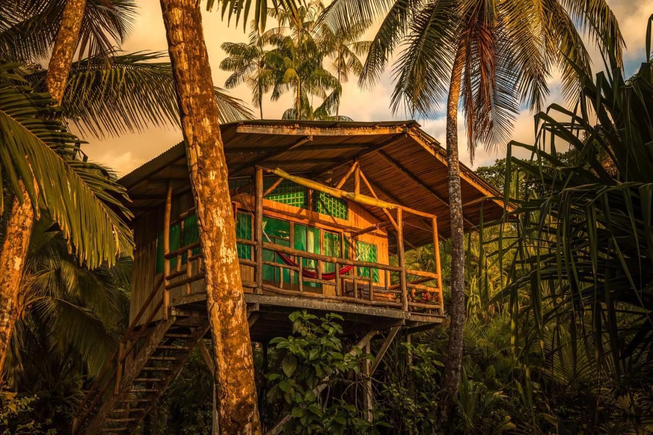 Ocean Forest Ecolodge San Pedrillo Buitenkant foto