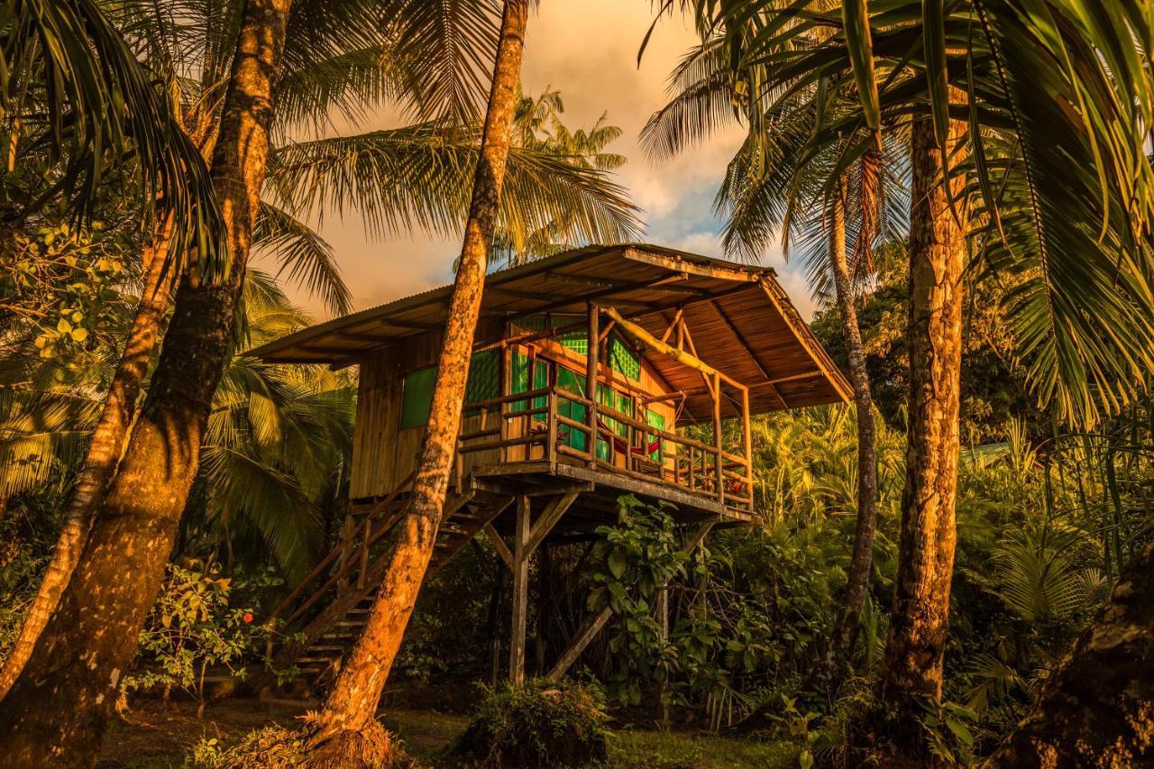 Ocean Forest Ecolodge San Pedrillo Buitenkant foto