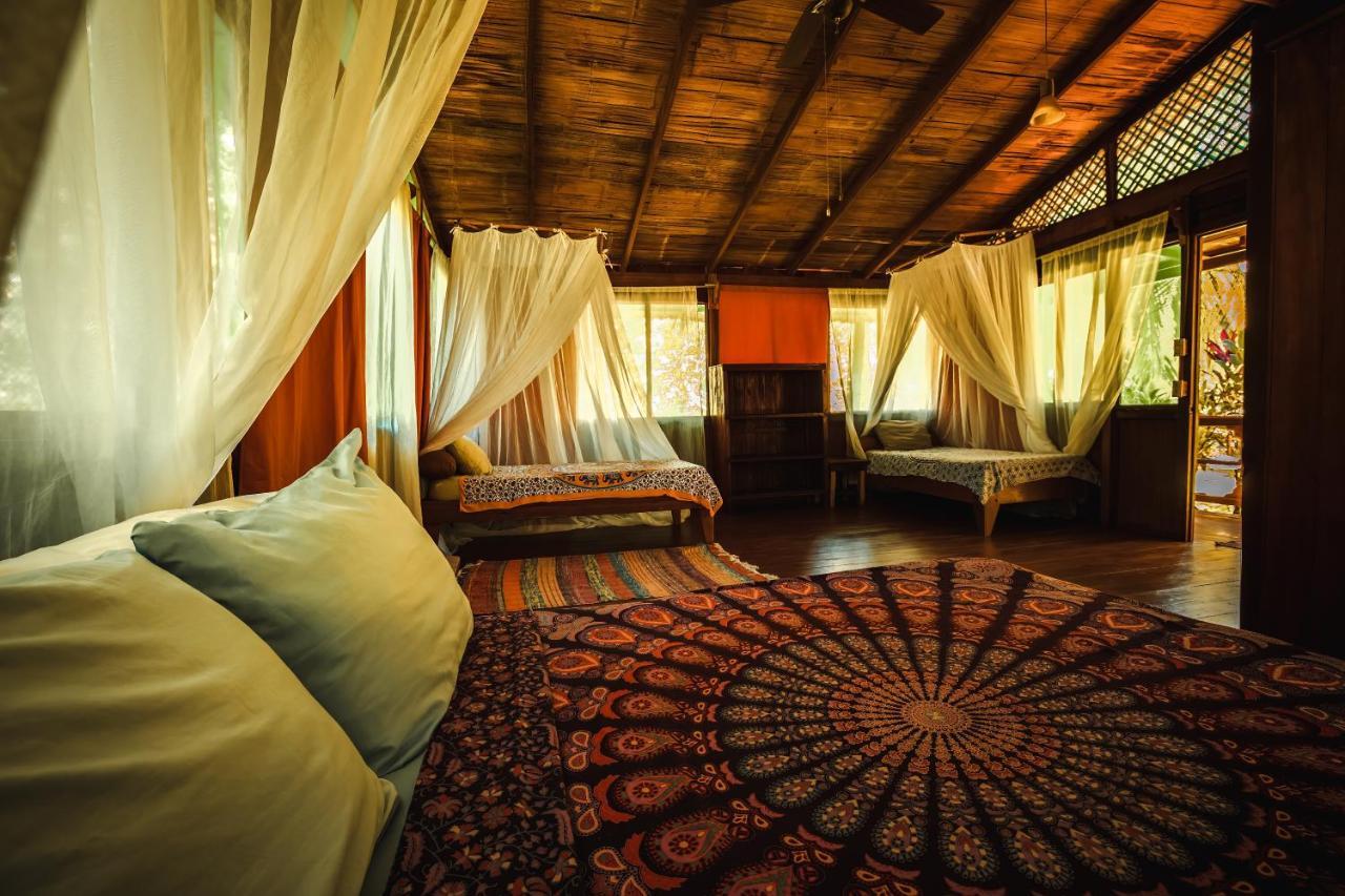 Ocean Forest Ecolodge San Pedrillo Buitenkant foto