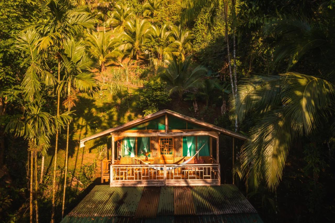 Ocean Forest Ecolodge San Pedrillo Buitenkant foto