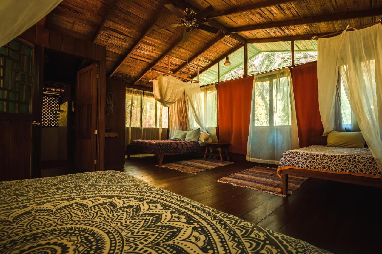 Ocean Forest Ecolodge San Pedrillo Buitenkant foto