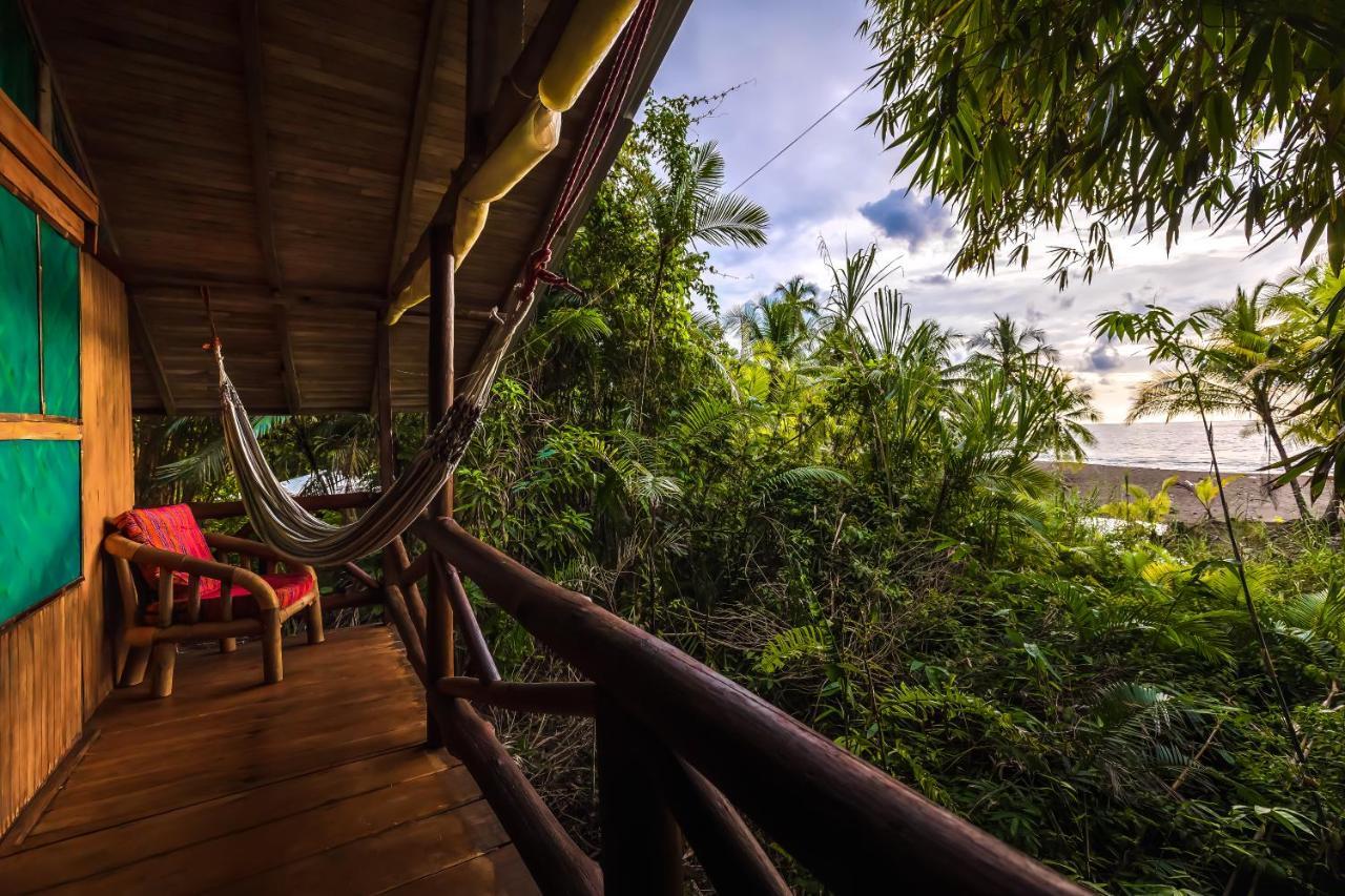 Ocean Forest Ecolodge San Pedrillo Buitenkant foto