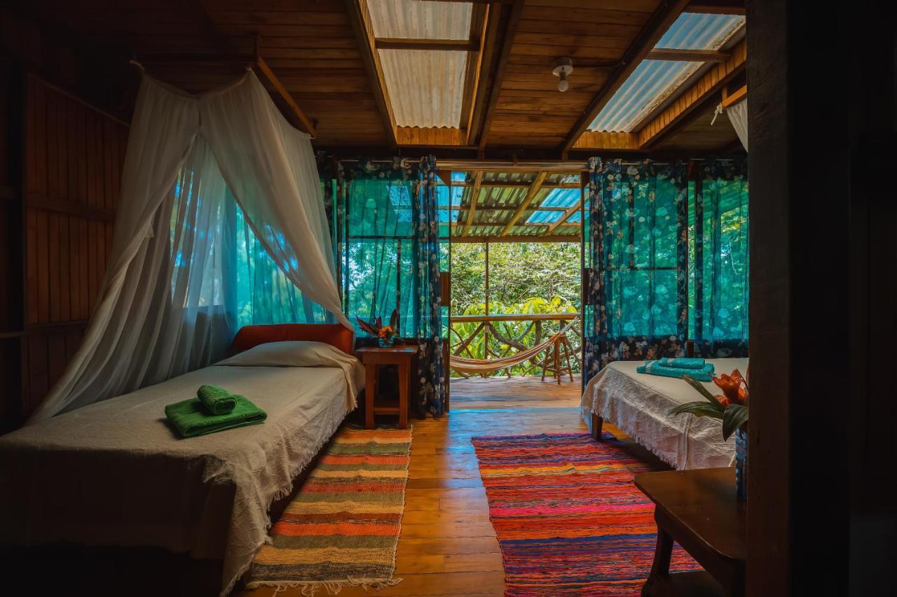 Ocean Forest Ecolodge San Pedrillo Buitenkant foto