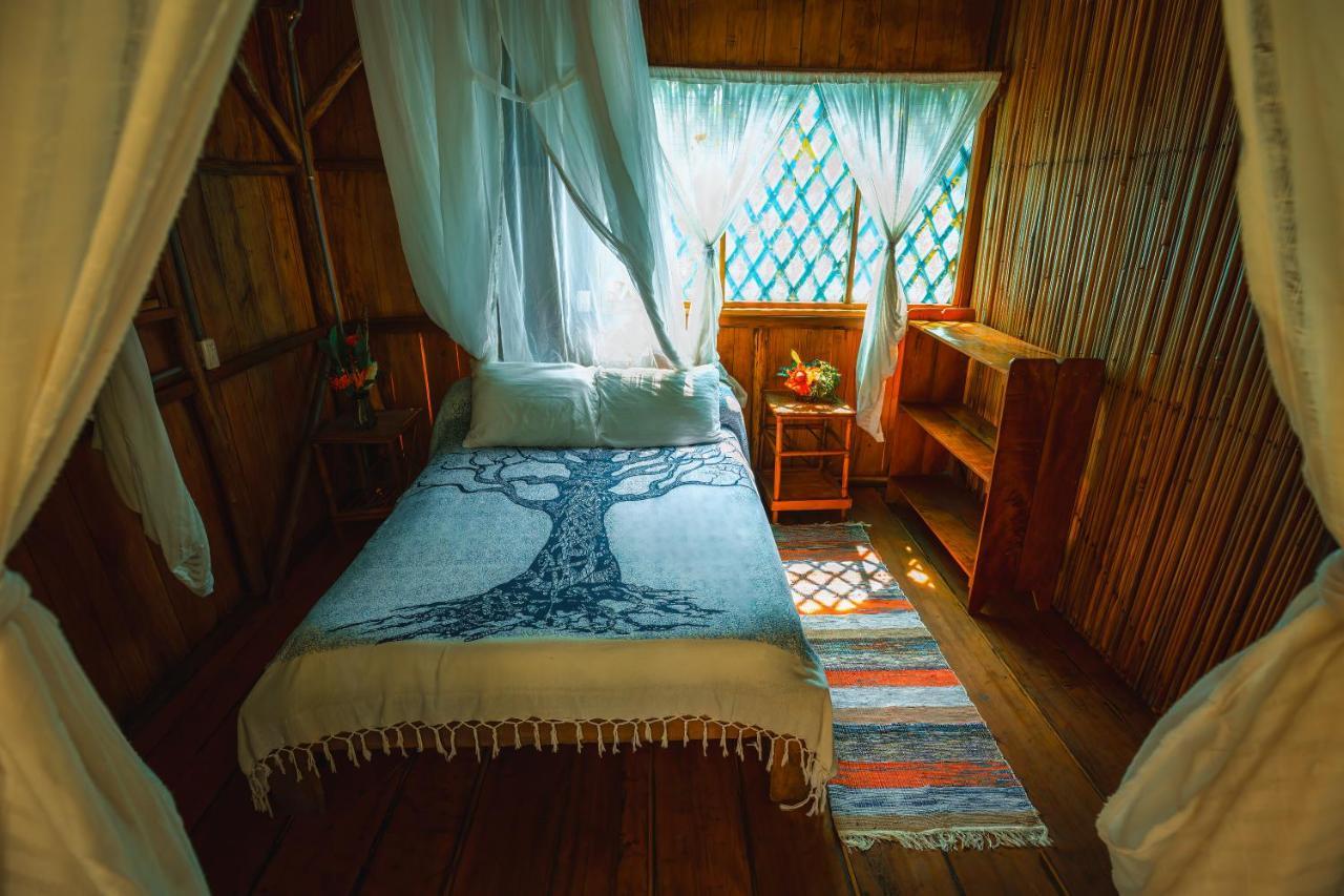 Ocean Forest Ecolodge San Pedrillo Buitenkant foto