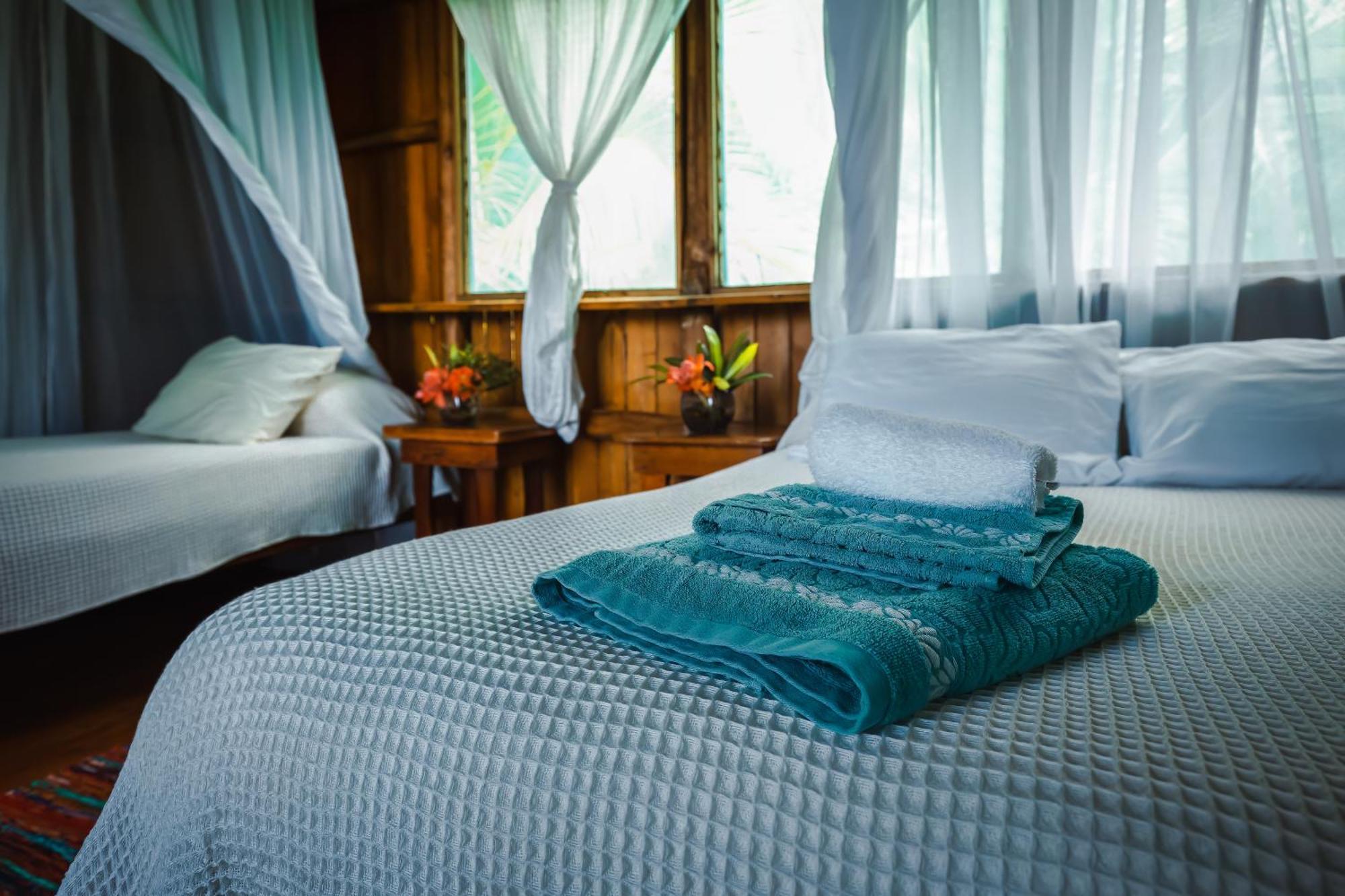 Ocean Forest Ecolodge San Pedrillo Buitenkant foto