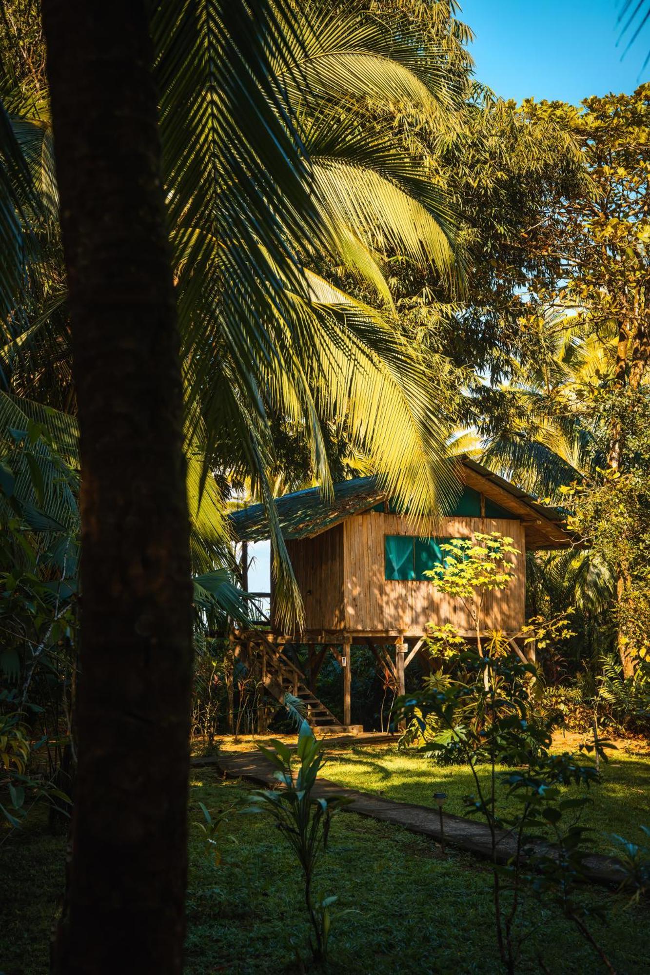 Ocean Forest Ecolodge San Pedrillo Buitenkant foto
