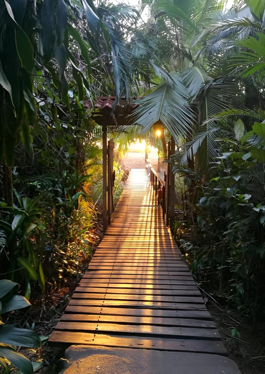 Ocean Forest Ecolodge San Pedrillo Buitenkant foto