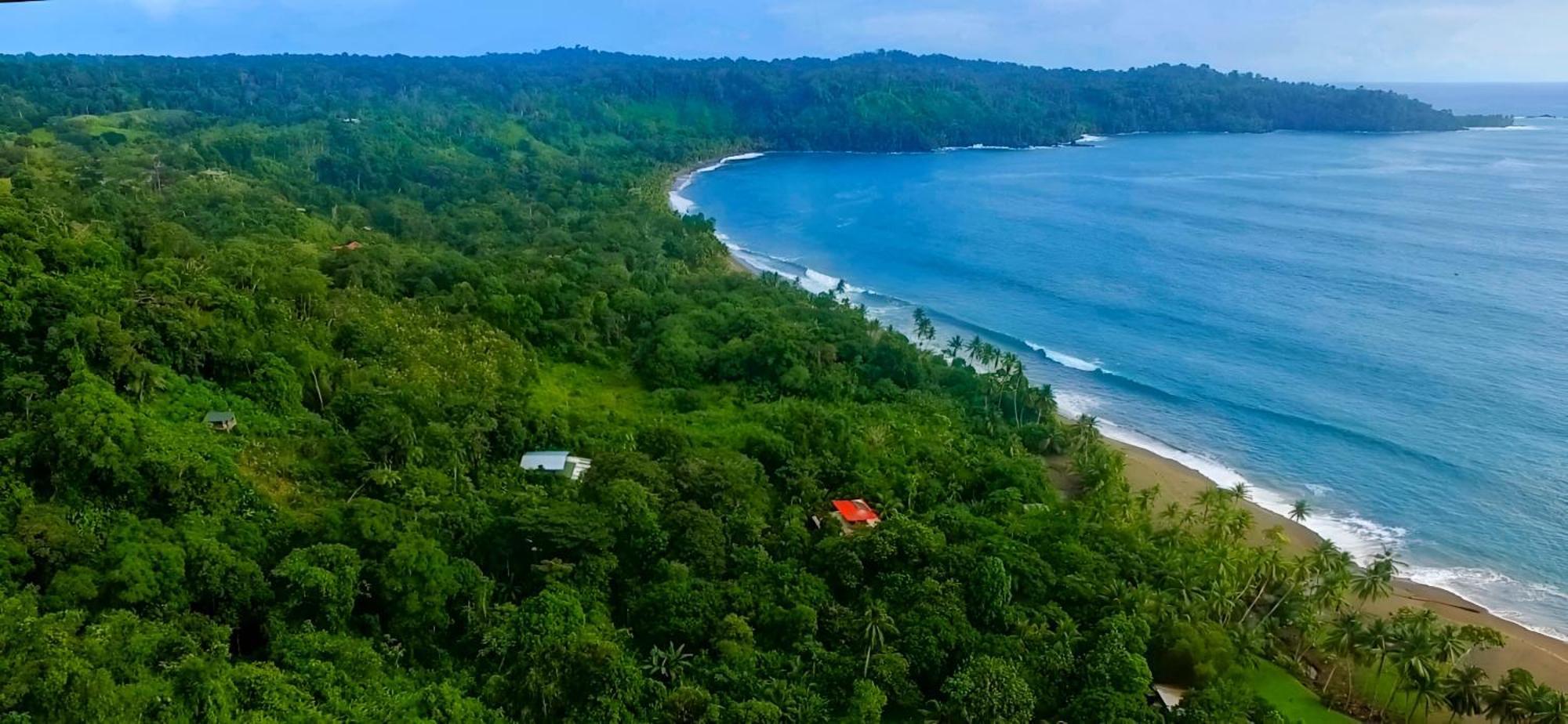 Ocean Forest Ecolodge San Pedrillo Buitenkant foto