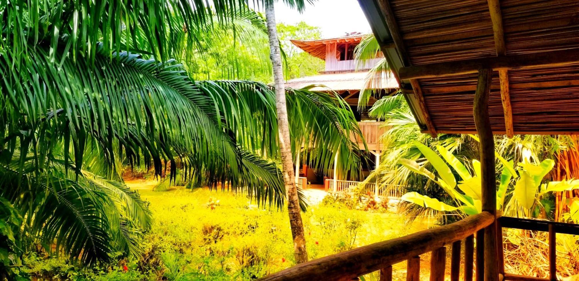 Ocean Forest Ecolodge San Pedrillo Buitenkant foto