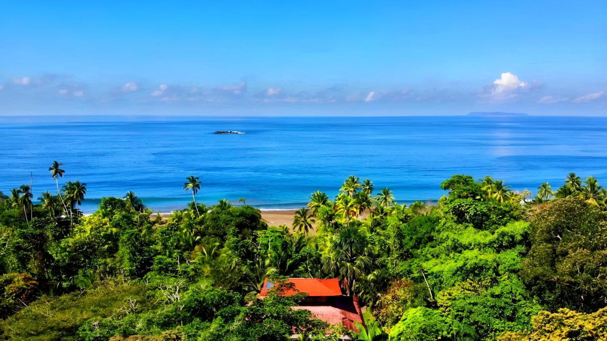 Ocean Forest Ecolodge San Pedrillo Buitenkant foto