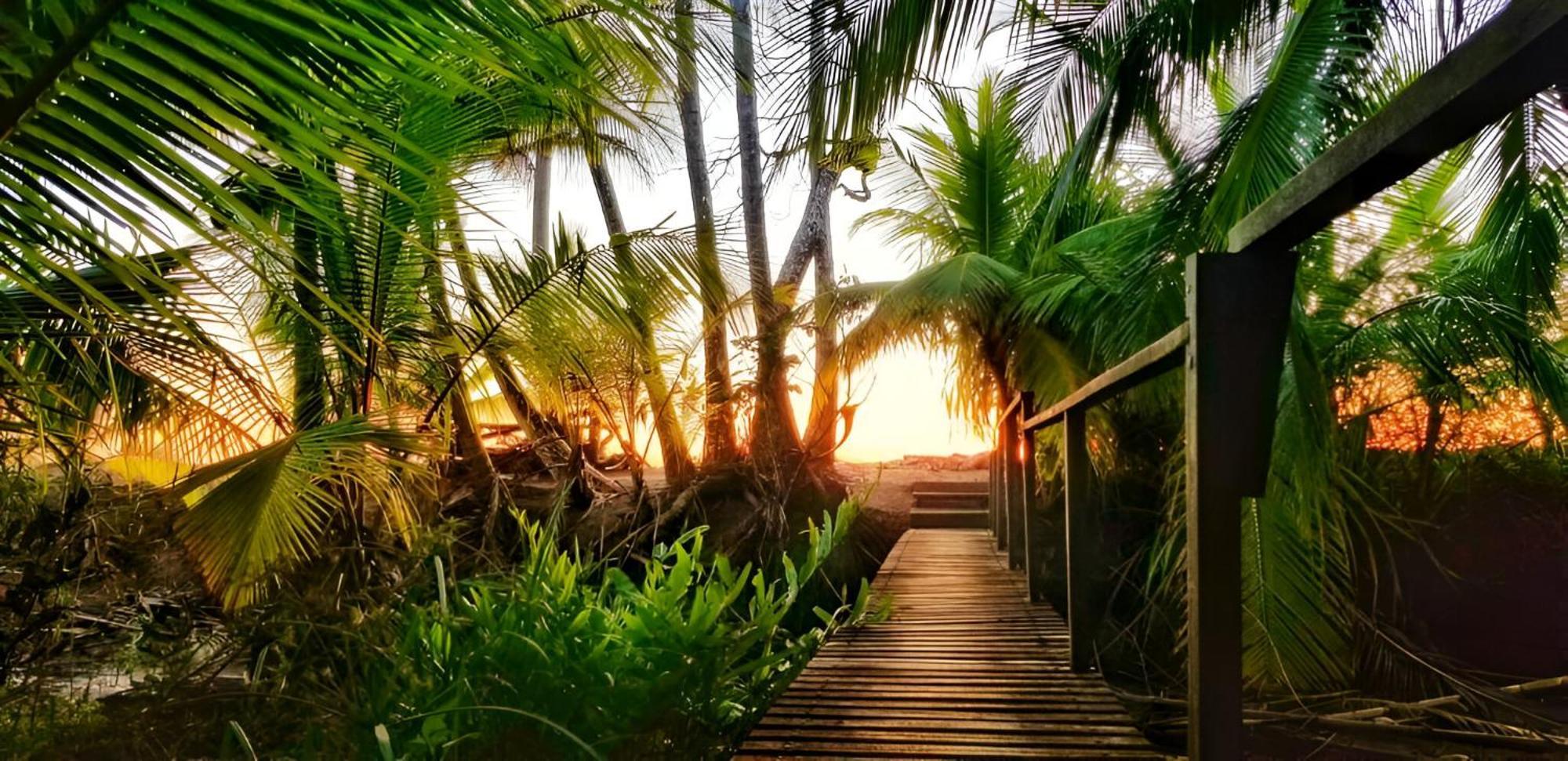 Ocean Forest Ecolodge San Pedrillo Buitenkant foto