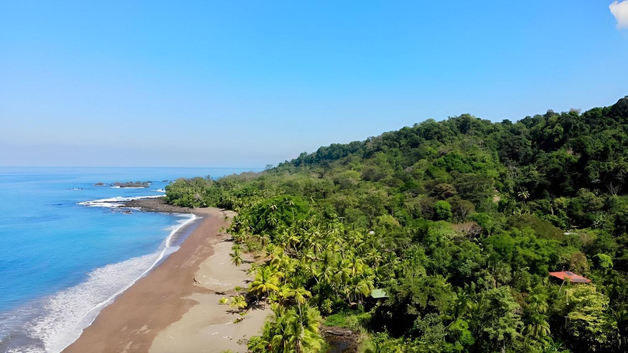 Ocean Forest Ecolodge San Pedrillo Buitenkant foto