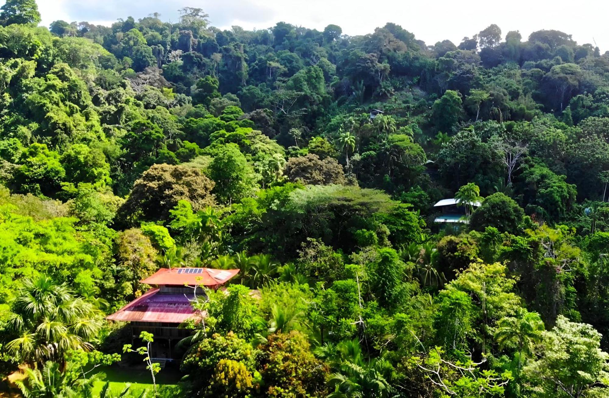 Ocean Forest Ecolodge San Pedrillo Buitenkant foto